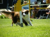 Cyanda
IMCA selectie 30 mei 2009